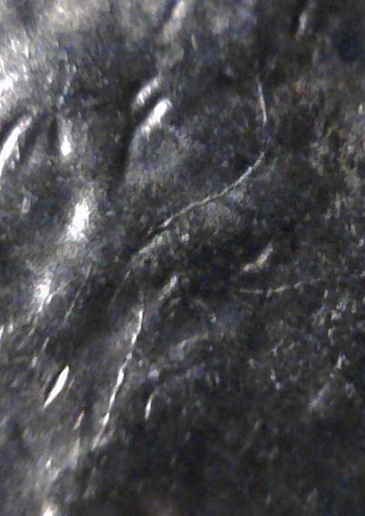 1954-S-BU-Wheat-Skull-Crack-And-Multiple-Wheat-Stalk-Die-Cracks