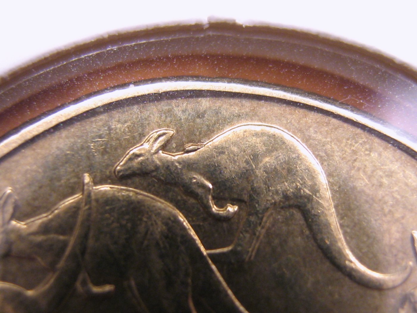 Australian-2019-Competition-1-Dollar-Mint-Errors