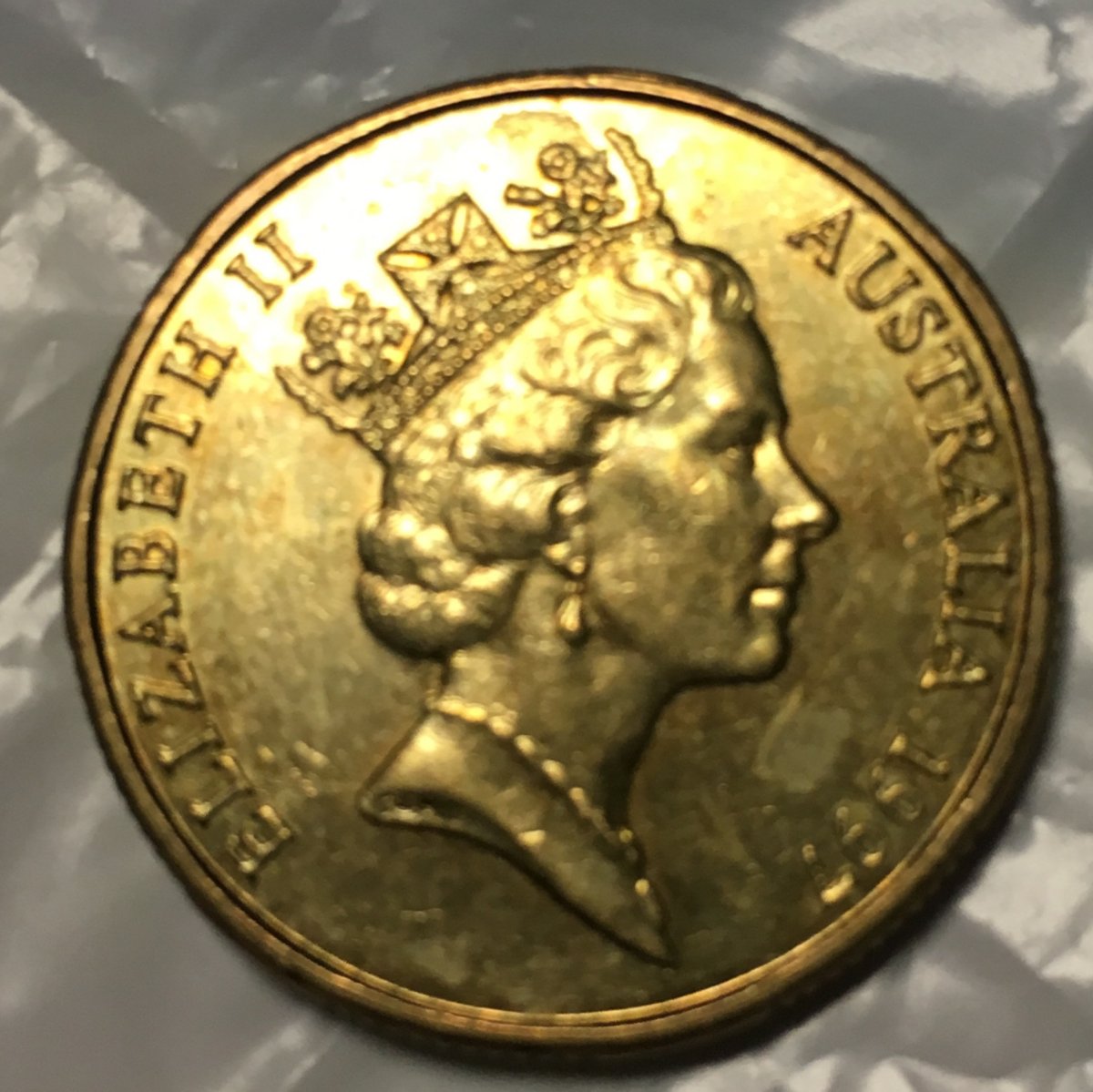 Noodling-Find-Of-The-Week?