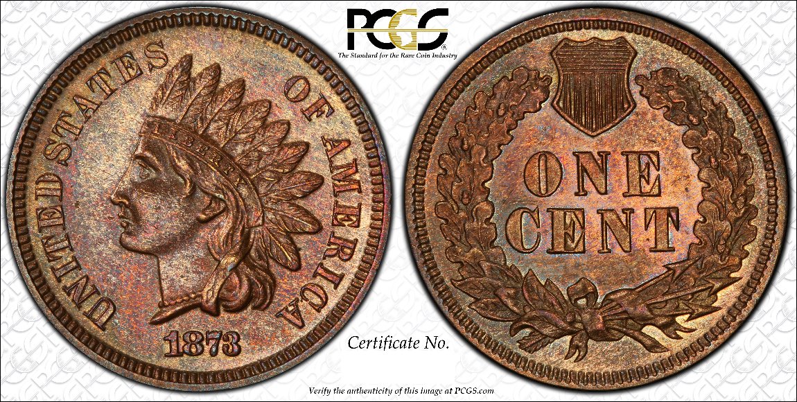 1873-Indian-Cent-You-Vs-PCGS-True-View-Pics