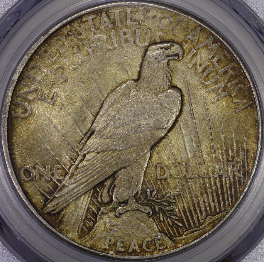 1921-Peace-Dollar-You-Vs-PCGS-Another-Gift-From-My-Wife