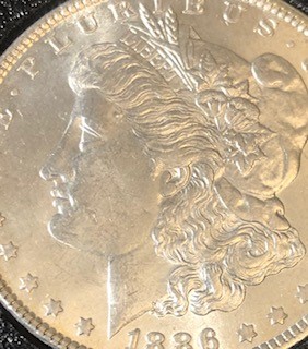 1886-Morgan---Looking-For-Assistance-/-Opinion-On-Grade