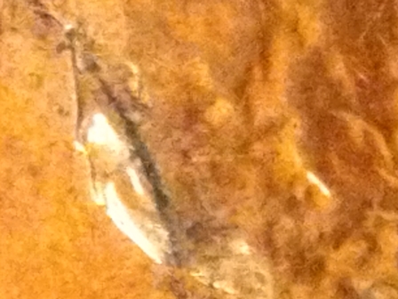 Possible-Obverse-Incomplete-Clip-On-Lsp-With-Damage-On-Reverse.-2010-Cent