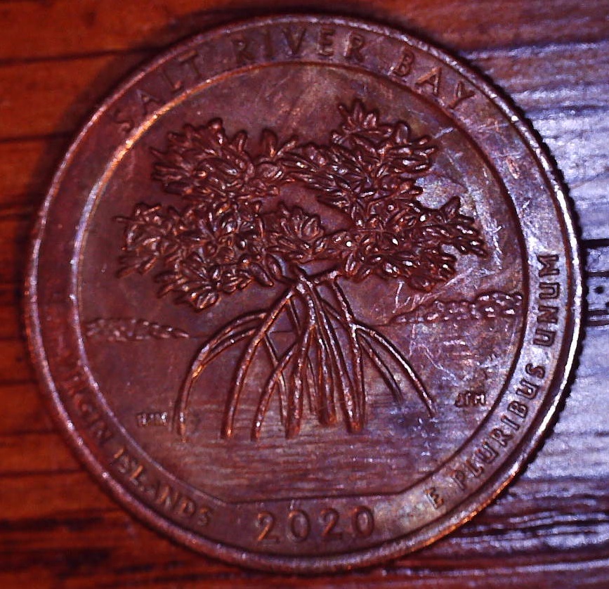 2020-D-Salt-River-Bay-Quarter---Copper-Or-Burned-And-Plated?