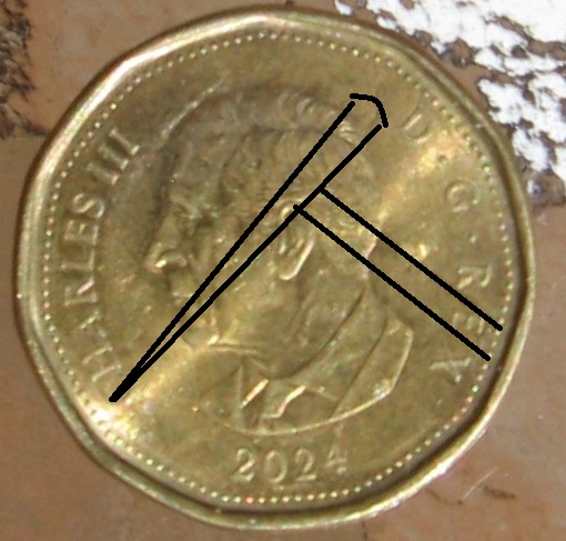 Strange-Looking-2024-Loonie!