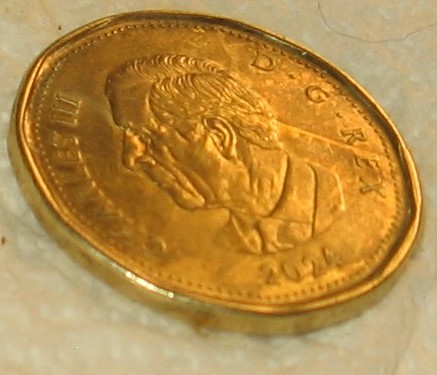 Strange-Looking-2024-Loonie!