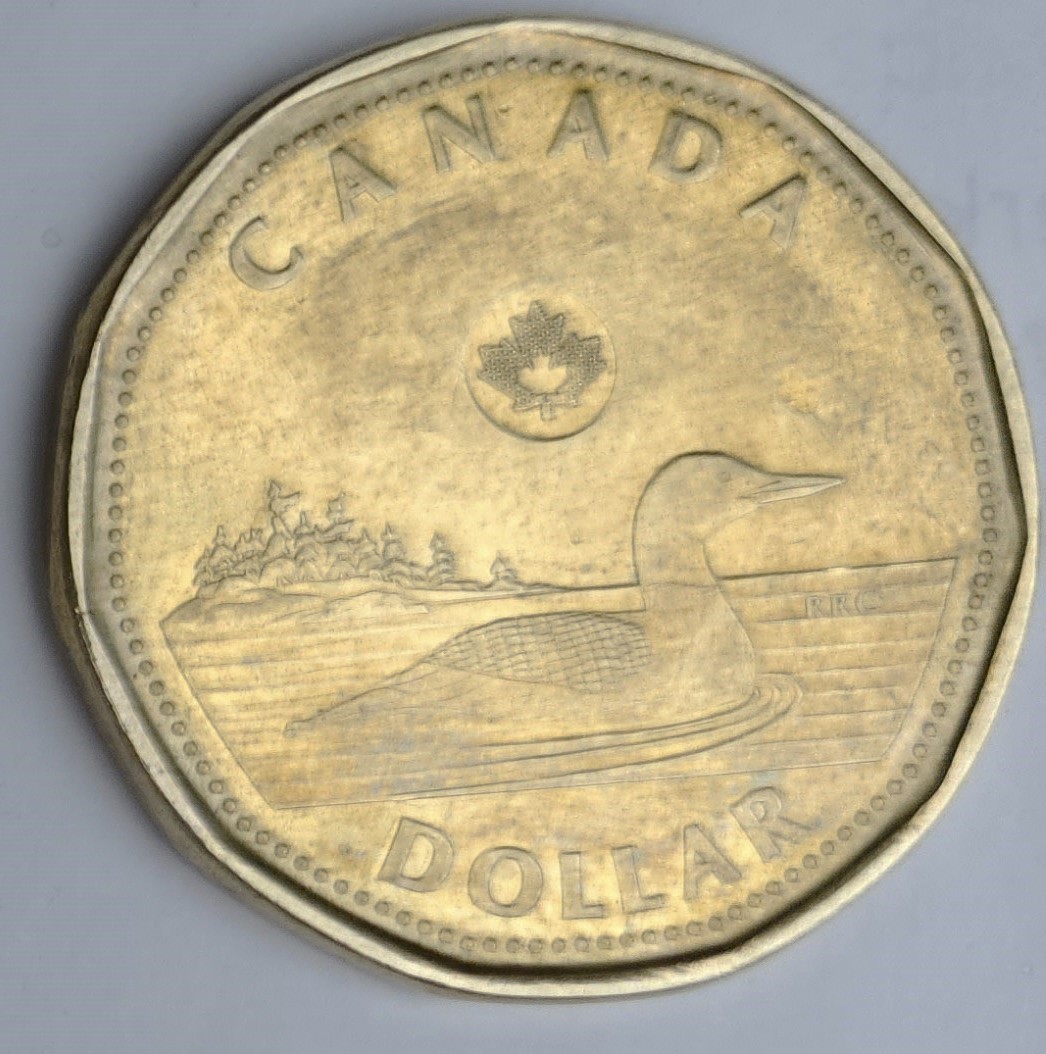 Strange-Looking-2024-Loonie!
