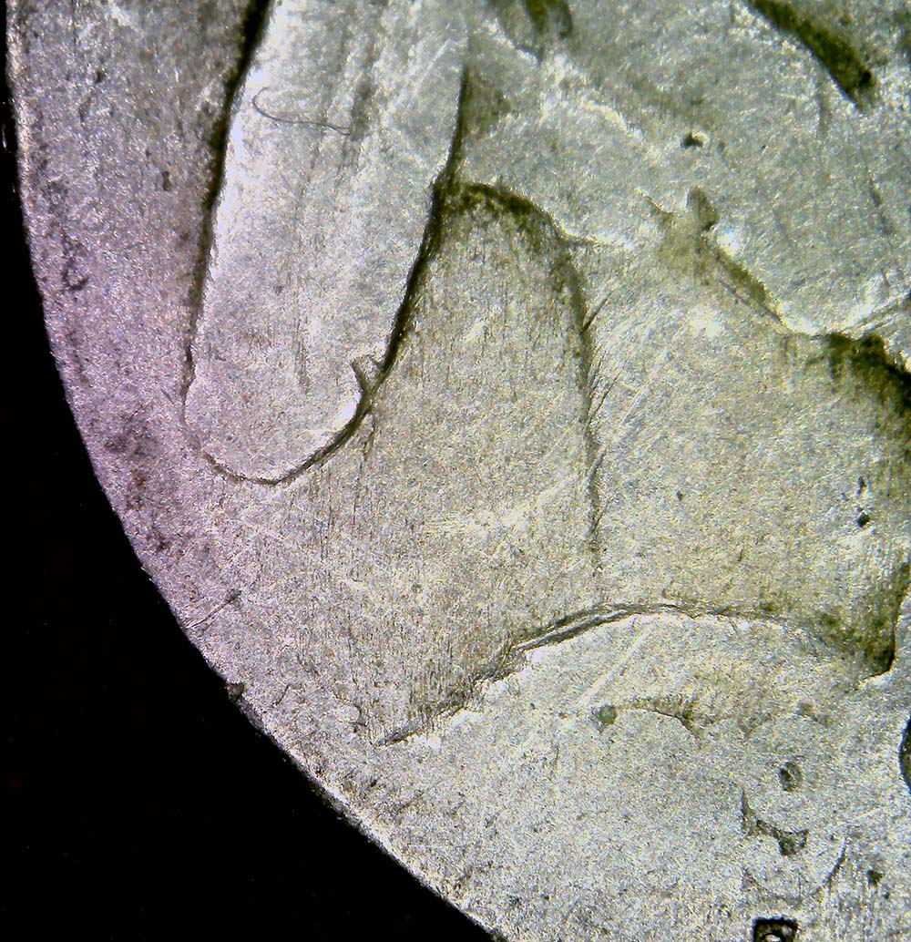1919-S-Two-Feather-Buffalo-Nickel-.-Finally-Got-Another