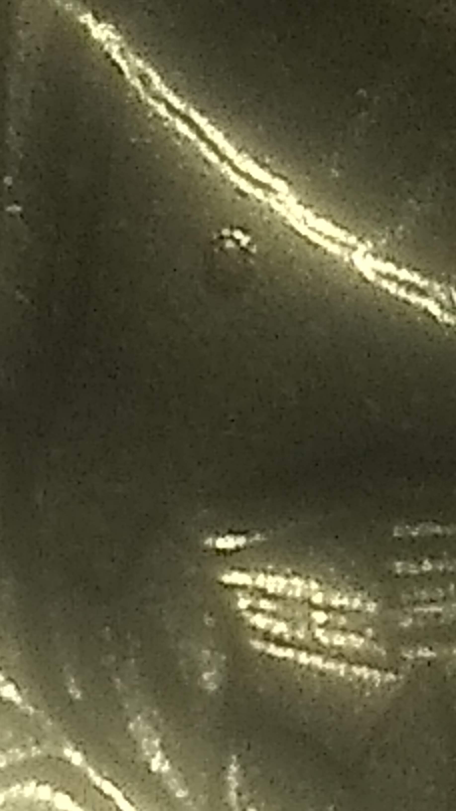 1971-D-Washington-Quarter-Reverse-Error-Need-Help-Identifying
