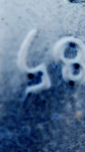 1985-D-DDO-Looks-Like-It-Has-Been-Cleaned-Though