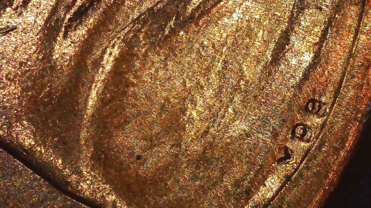 2017-P-Shield-Cent-DD-VDB
