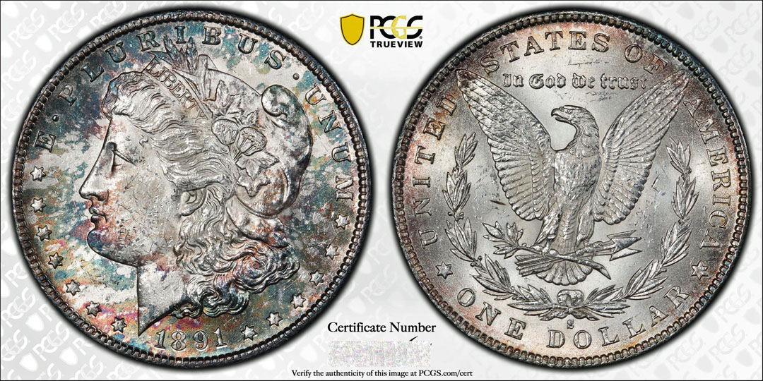 Grade-For-This-1891-S-Morgan