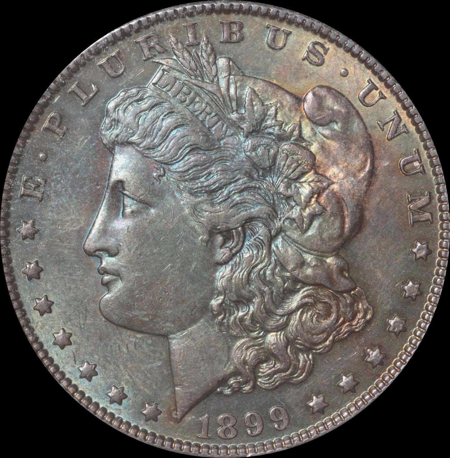 1899-Morgan-PCGS-Results-Not-Good