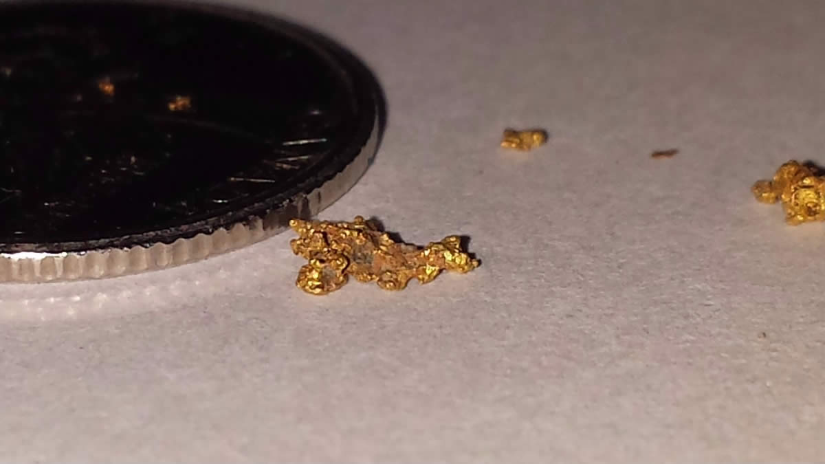 Has-Anyone-Panned-For-Gold?