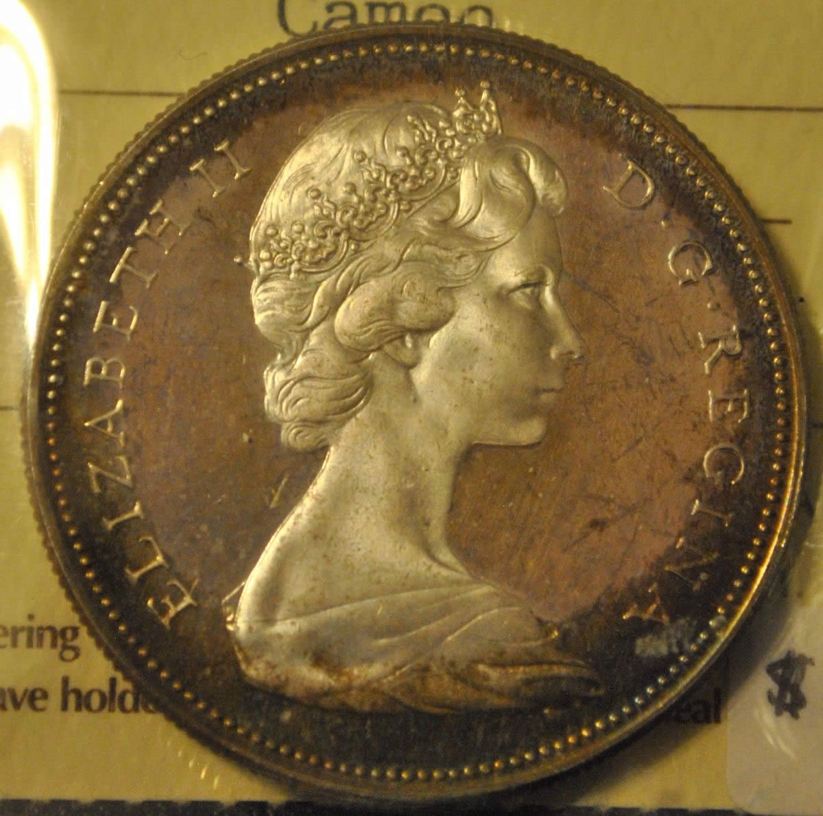 The-31-Days-Of-Canadian-Silver-Dollars
