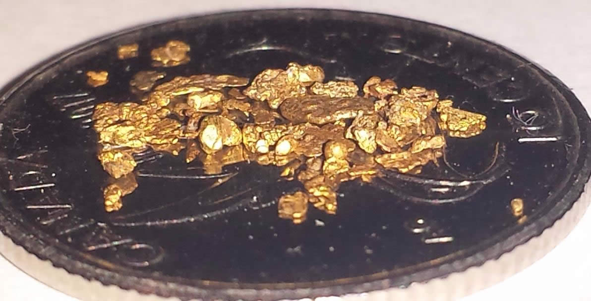 Has-Anyone-Panned-For-Gold?