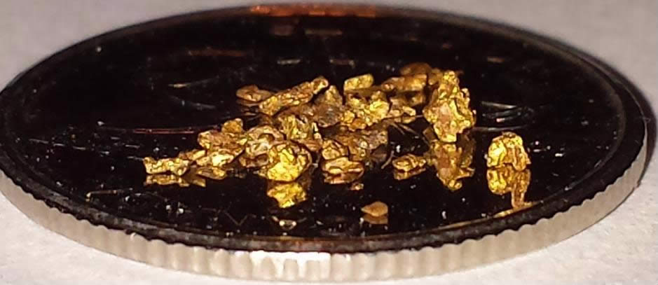 Has-Anyone-Panned-For-Gold?