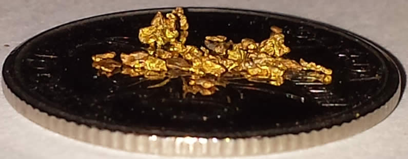 Has-Anyone-Panned-For-Gold?