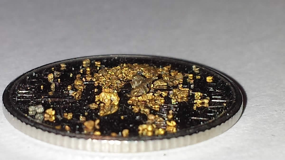 Has-Anyone-Panned-For-Gold?