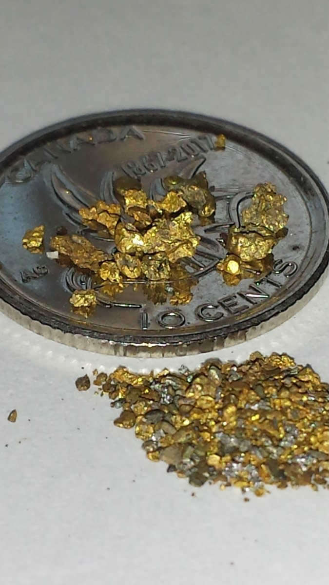 Has-Anyone-Panned-For-Gold?