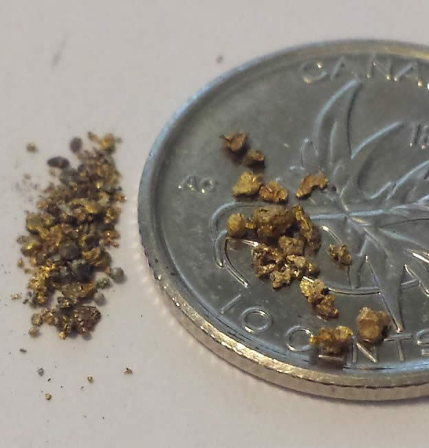 Has-Anyone-Panned-For-Gold?