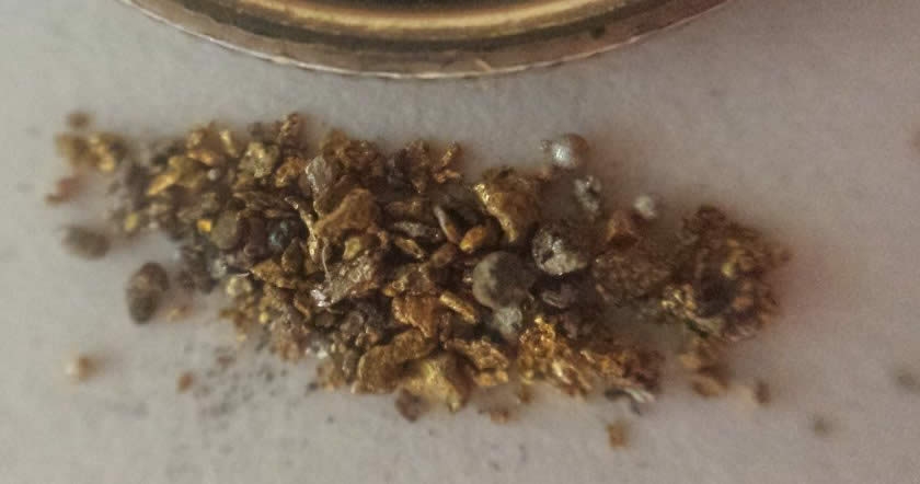 Has-Anyone-Panned-For-Gold?