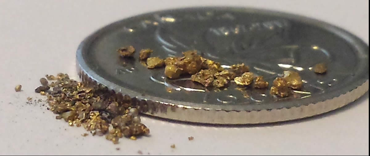 Has-Anyone-Panned-For-Gold?