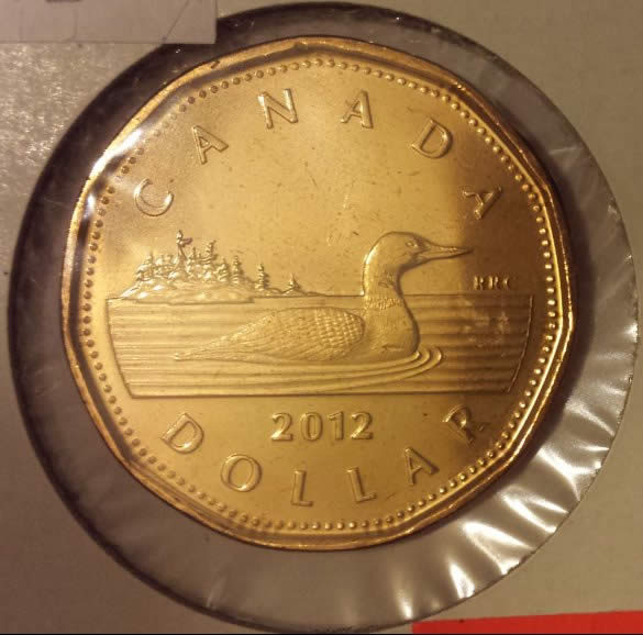 Have-You-Found-These-Loonies?