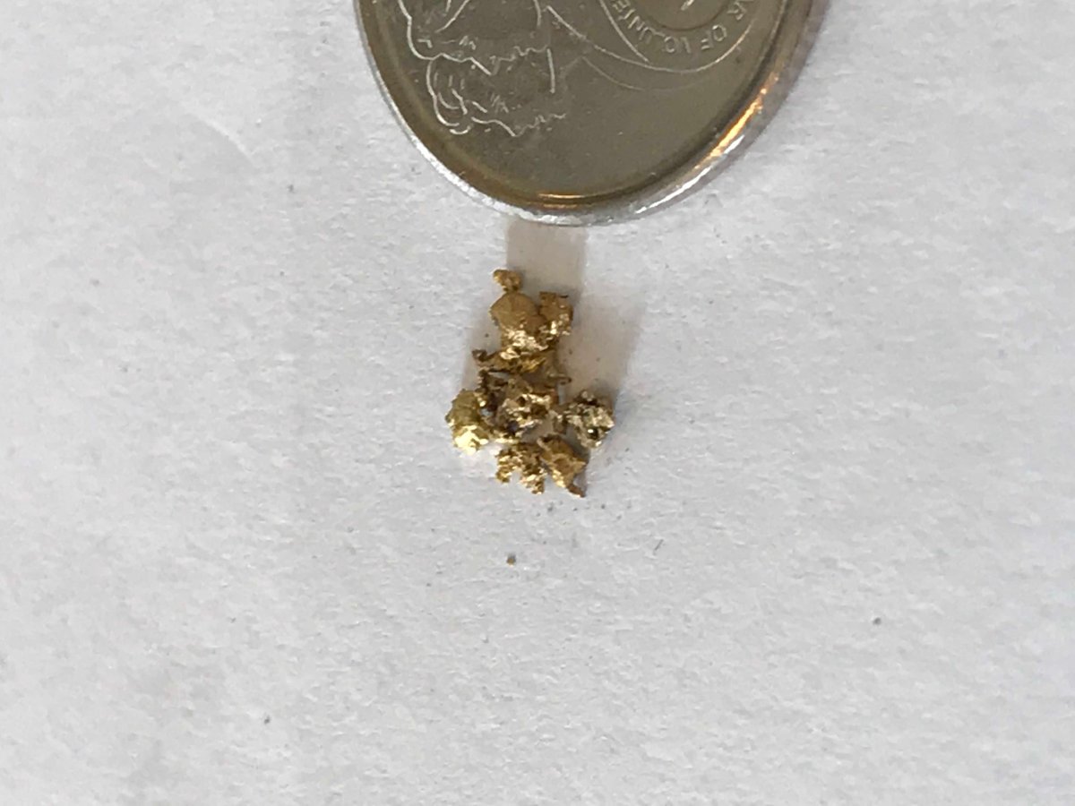 Has-Anyone-Panned-For-Gold?