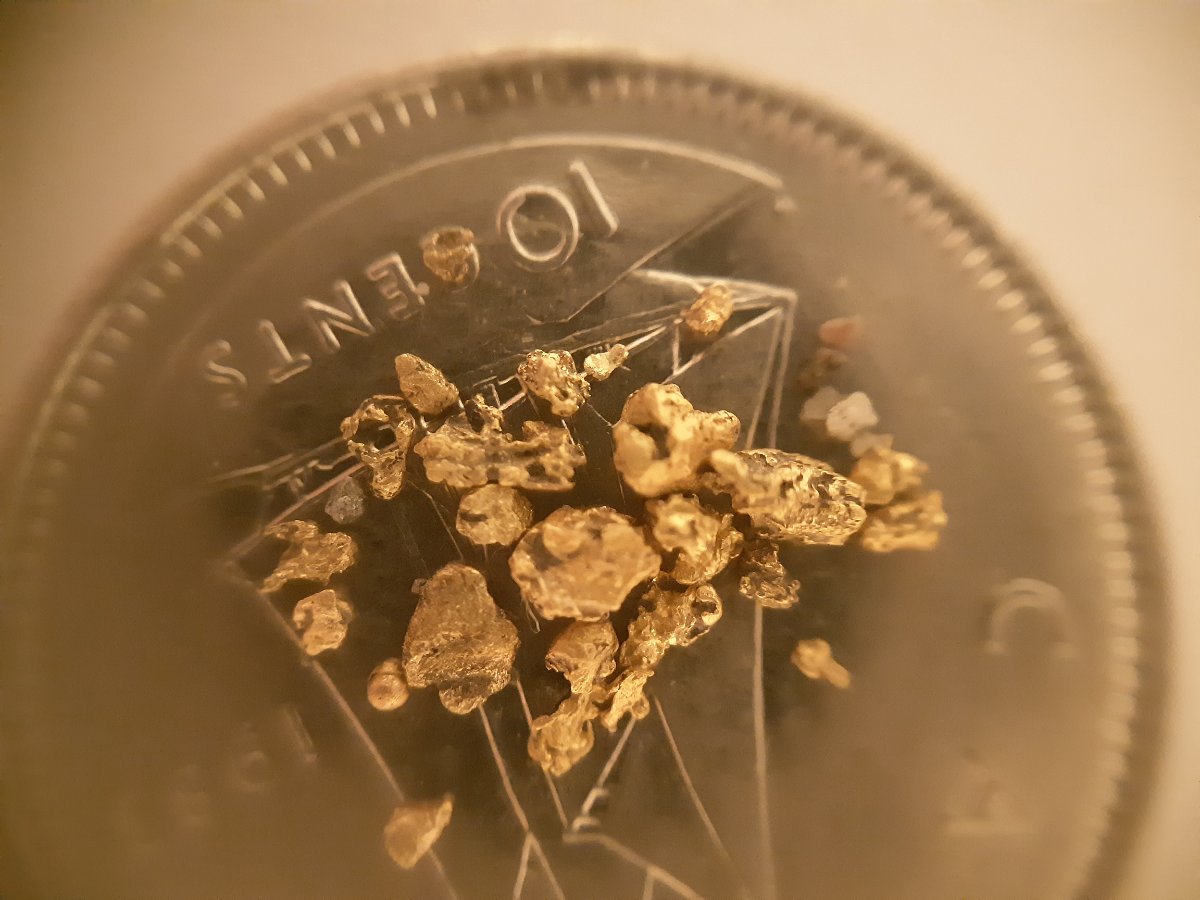 Has-Anyone-Panned-For-Gold?