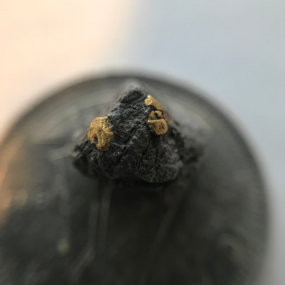 Has-Anyone-Panned-For-Gold?