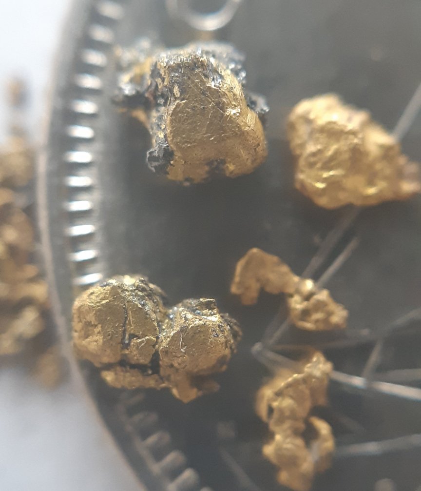 Has-Anyone-Panned-For-Gold?