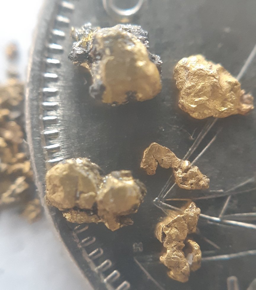 Has-Anyone-Panned-For-Gold?