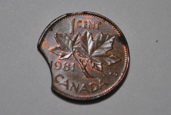 Cool-And-Sometimes-Crazy-Doubled-Clipped-Canadian-Errors