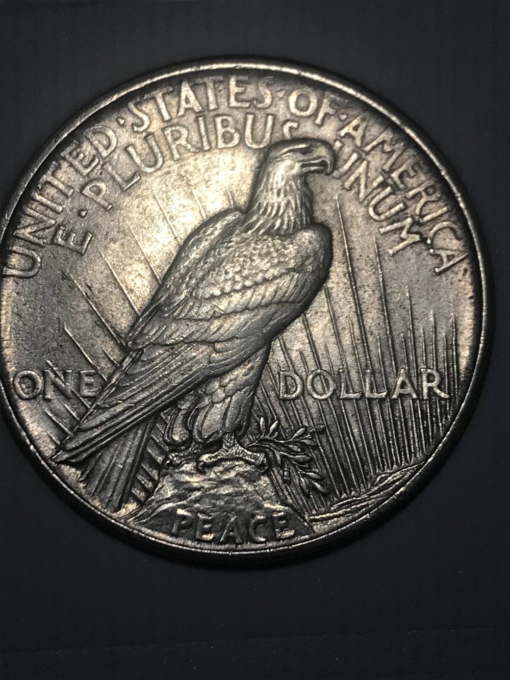 1921-Peace-Dollar-For-Grading