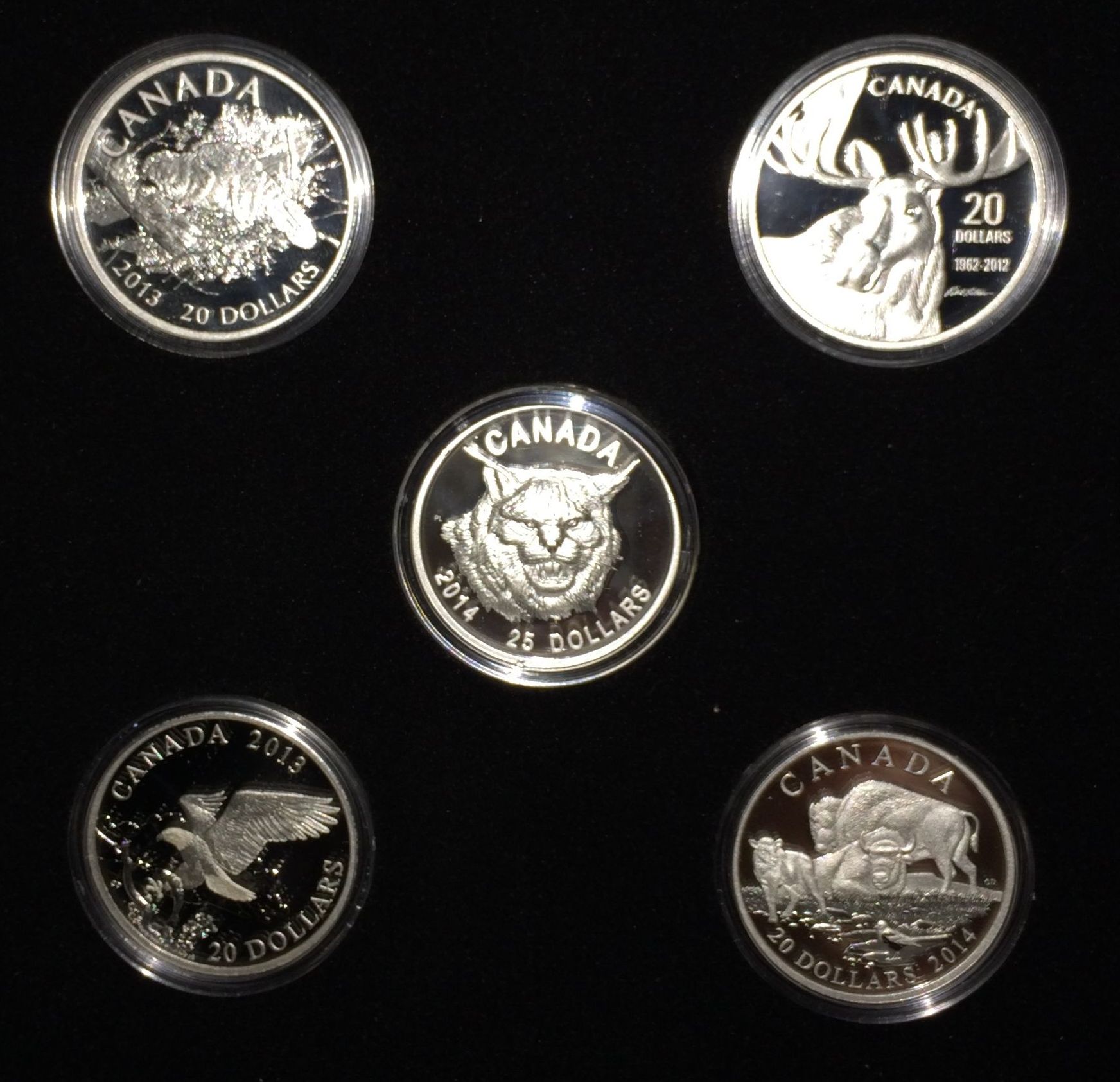 Thank-You-Canada-For-Your-Love-Of-The-Bison!
