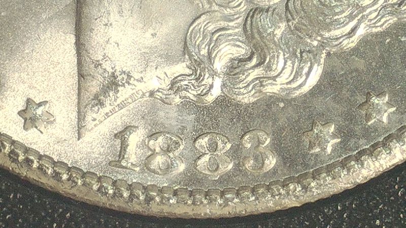 Looking-Hard-At-A-1883-CC-MS-65-Morgan