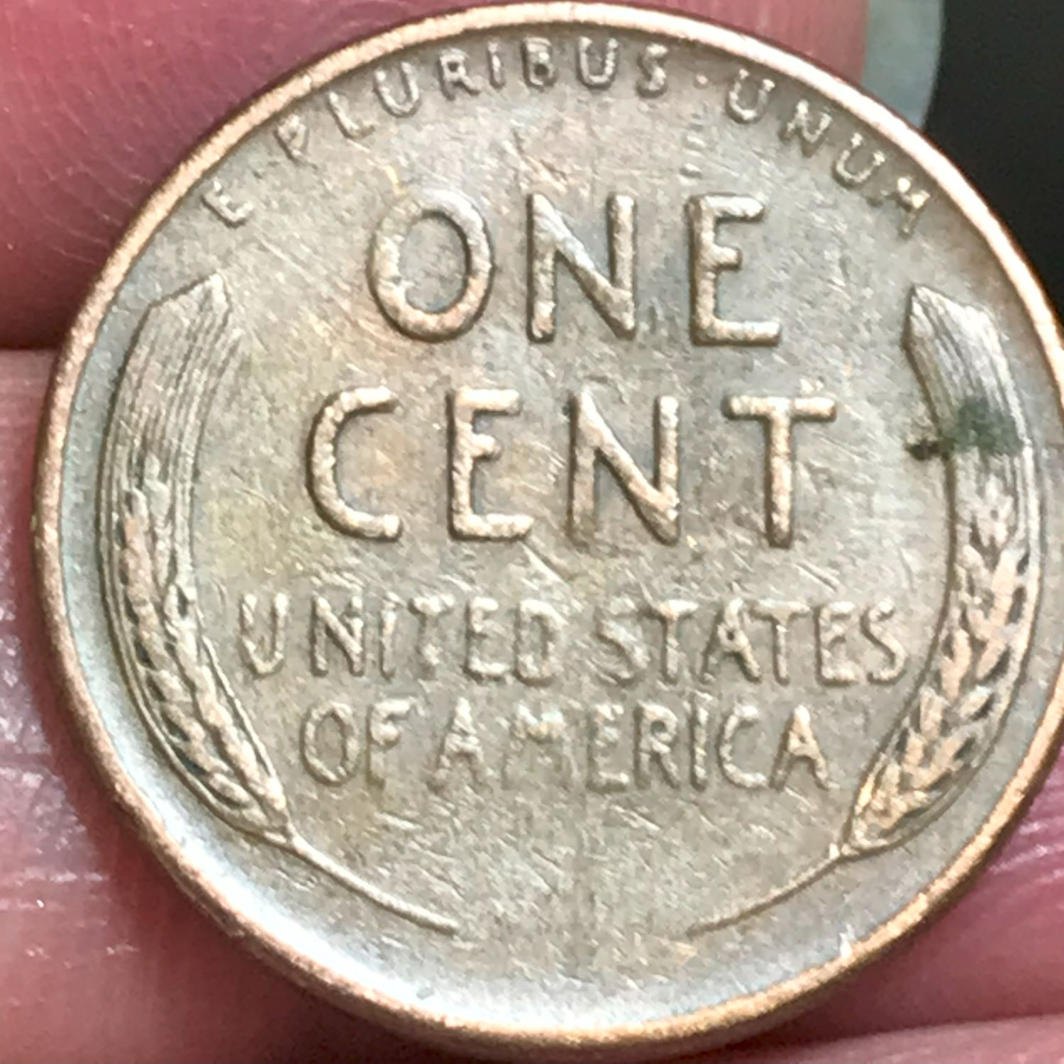 Help-Identifying-Lincoln-Wheat-Cent-Errors/Question-On-Kennedy-Half-Dollar