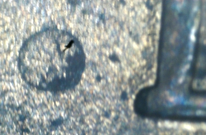 2008-D-Cent-Dot?-Know-Variety?-Or-Hazard?