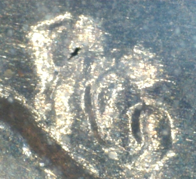 10$-Flea-Market-Buy-Errors,-Worth?