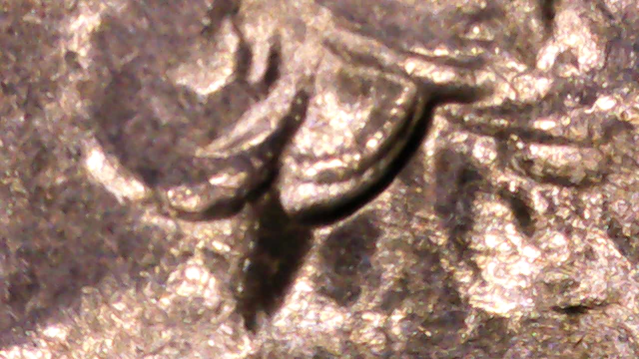 1943-D-Quarter-FS-101?