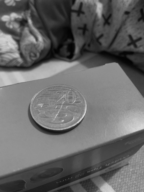 2004-20c-Coin-Error