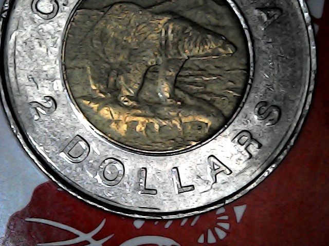 What-Happened-To-This-1996-Toonie?