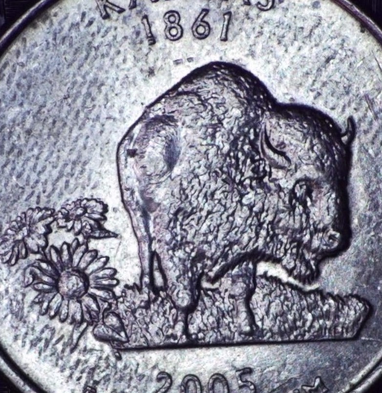 2005-P-Quarter-Odd-Pattern-On-Surface