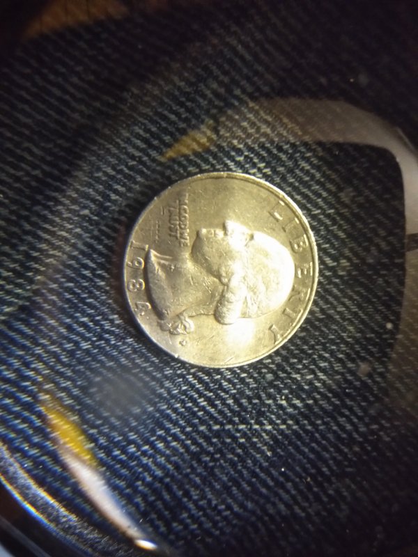 I-Have-Many-Coins-I'm-Wondering-If-They-Are-Just-Damage-Or-An-Actual-Mistak