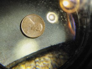 I-Have-Many-Coins-I'm-Wondering-If-They-Are-Just-Damage-Or-An-Actual-Mistak