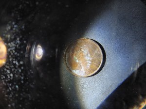 I-Have-Many-Coins-I'm-Wondering-If-They-Are-Just-Damage-Or-An-Actual-Mistak
