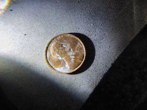 I-Have-Many-Coins-I'm-Wondering-If-They-Are-Just-Damage-Or-An-Actual-Mistak