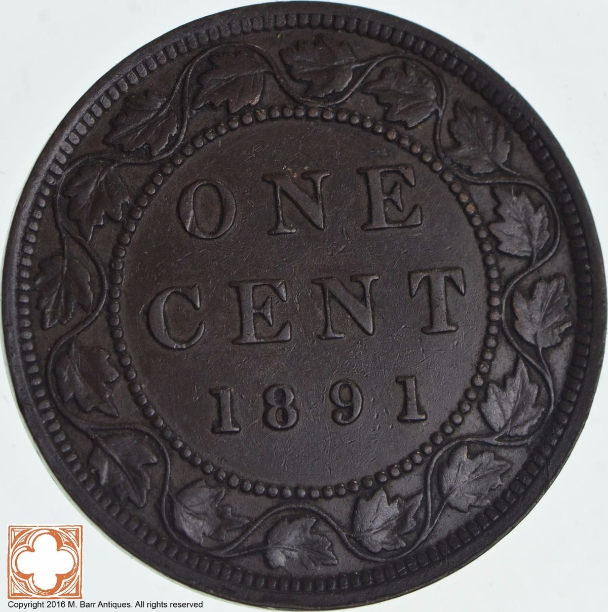 Newly-Purchased-1891-Large-Cent.