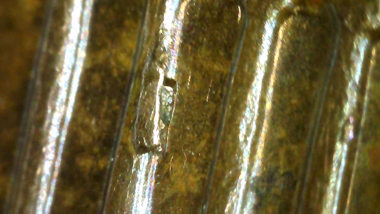 1972-D-LMC-Critter-Crawling-Up-Column,-Cud-Or-Chip?